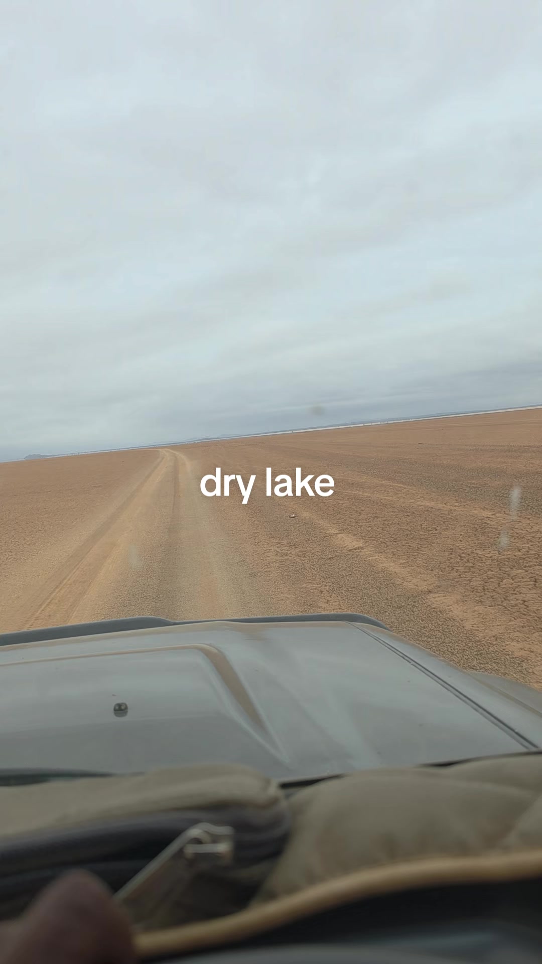 @WildDan