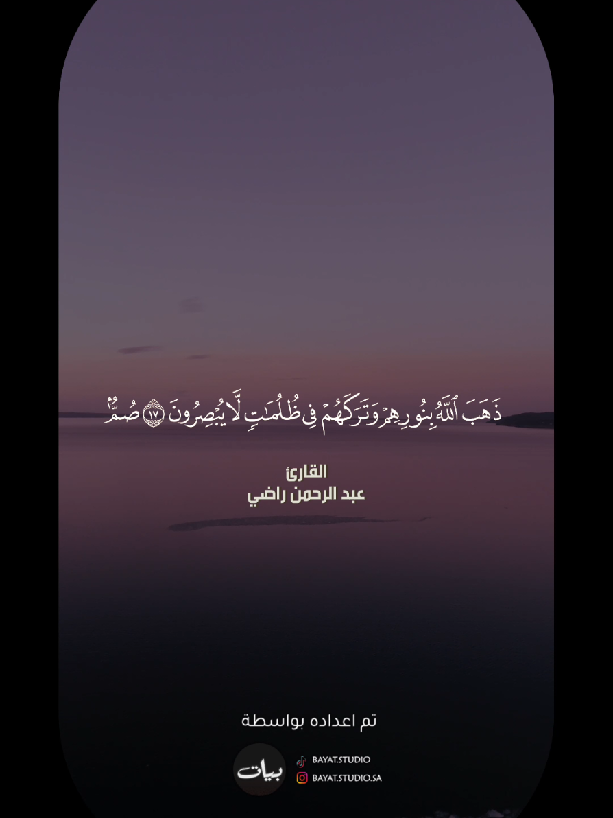 @Abdelrahman Rady official