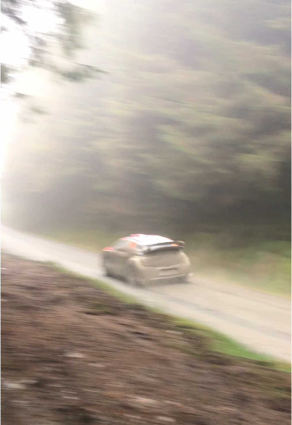 @Rally__Hub