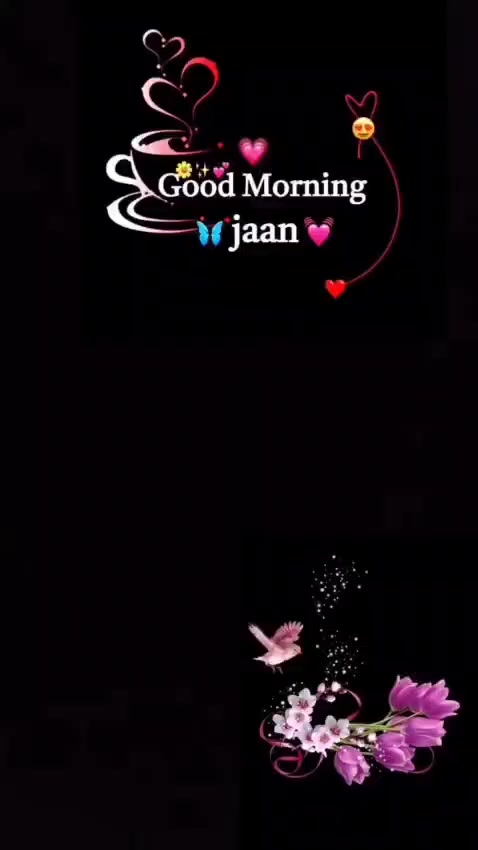 @star Jaan ⭐⭐⭐⭐✨✨✨✨