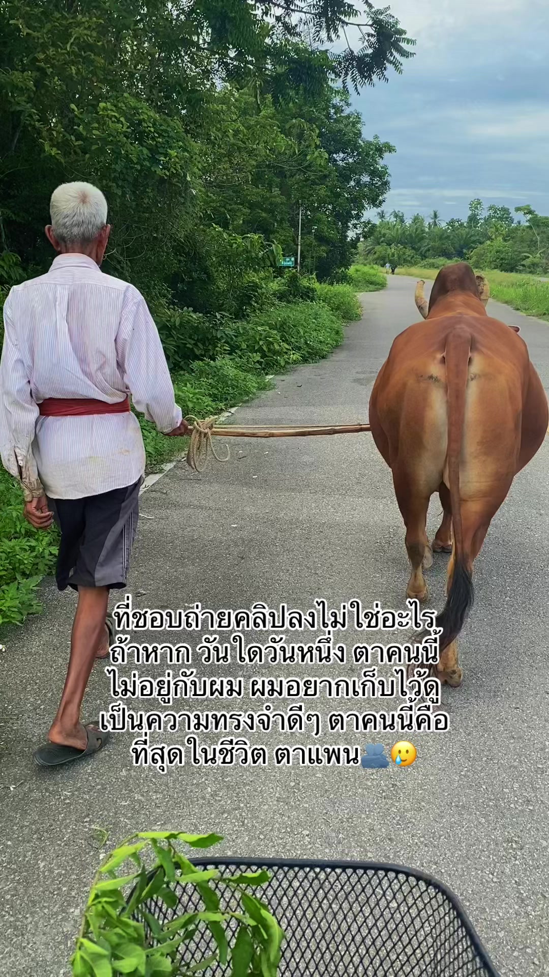 @ทำดีเข้าเเลก เพื่อกระเเทกหีเธอ
