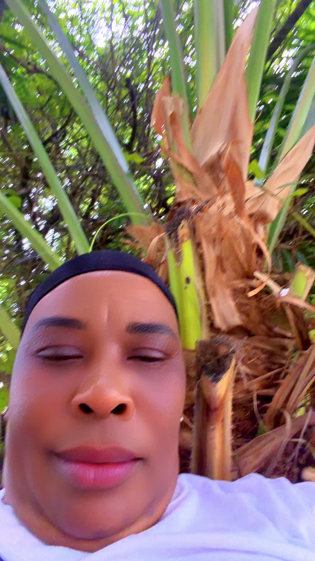 @felicide
