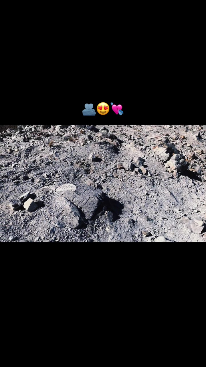 @Bella🥷🏻🖤