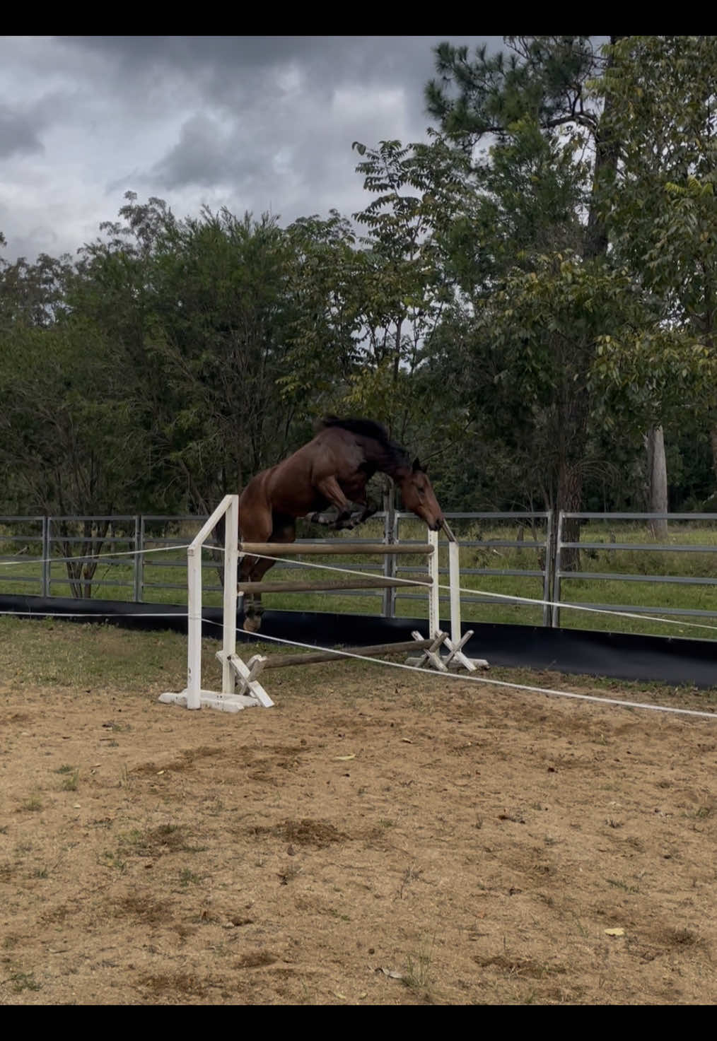 @Double F Performance Horses