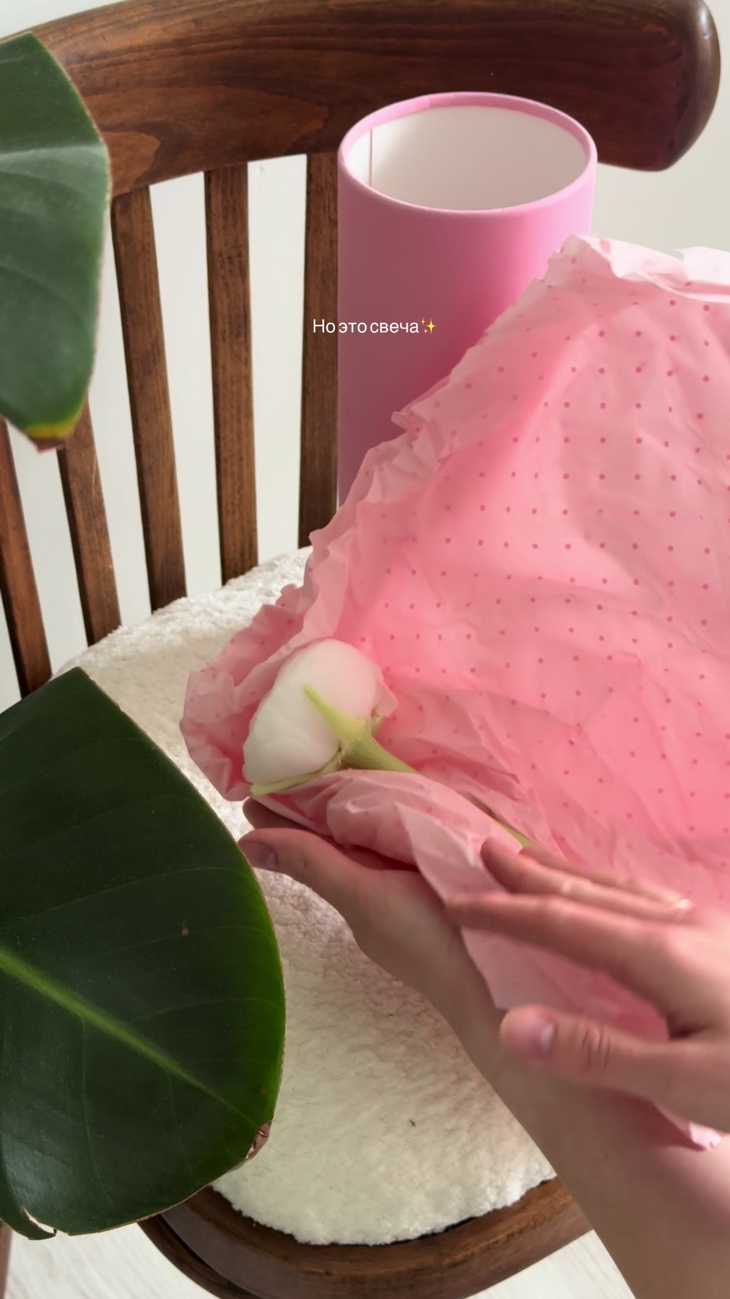 @Ляна Коржакова