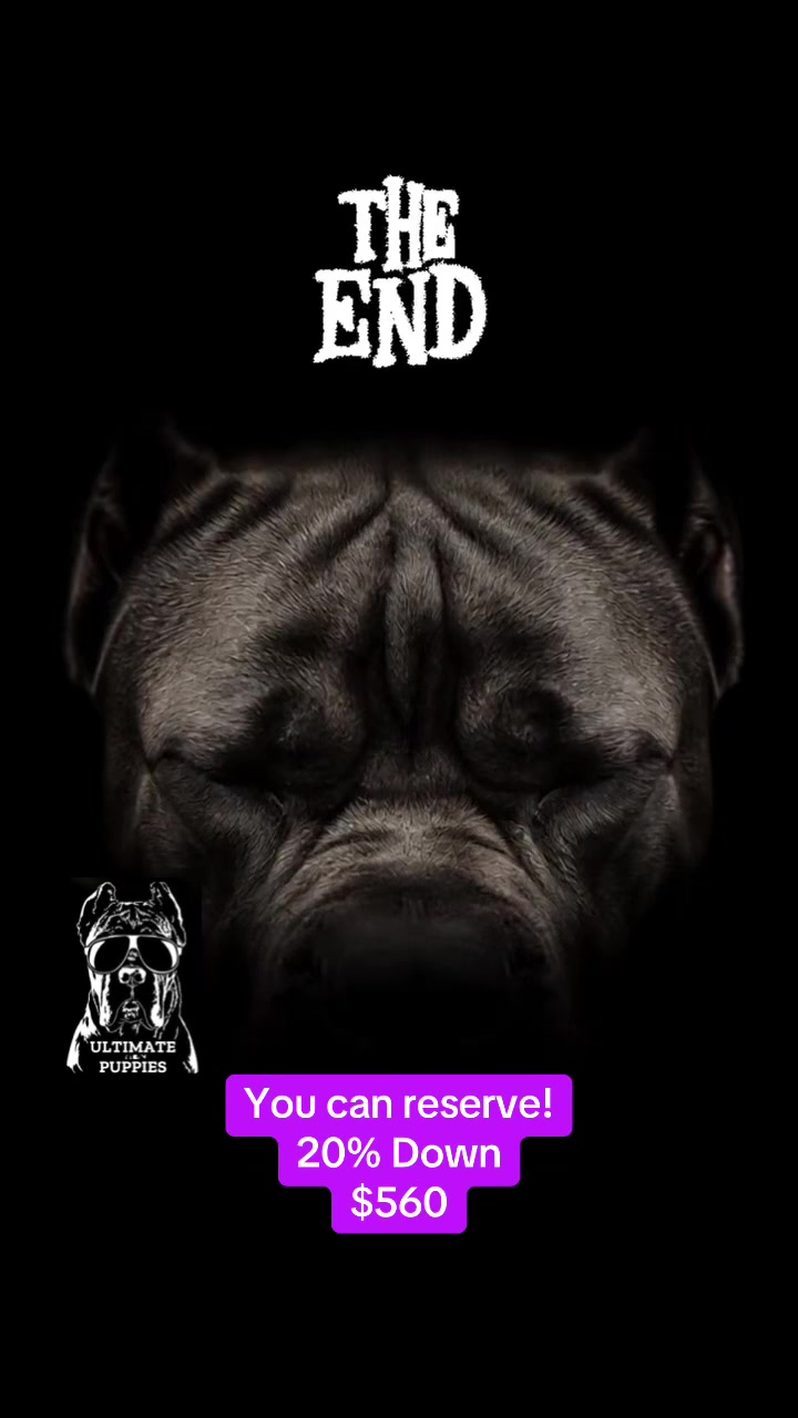 @Ultimate Puppies