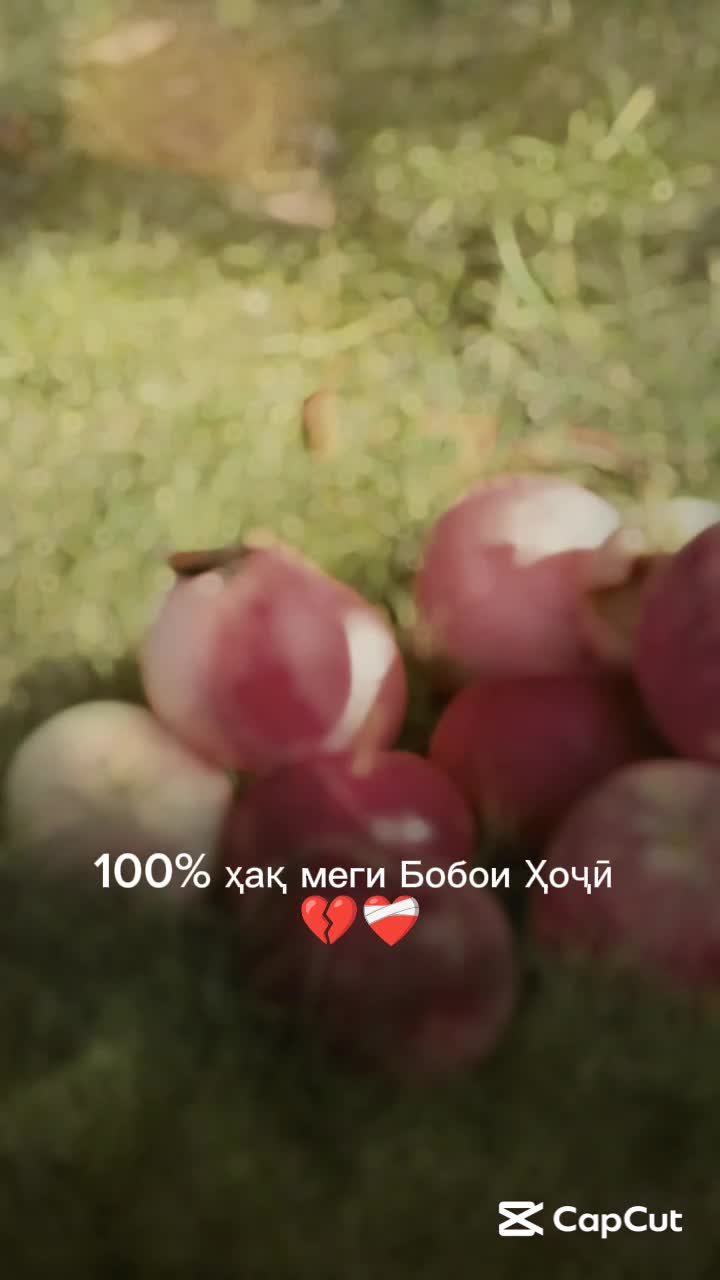 @Солеҳа❤️🩹