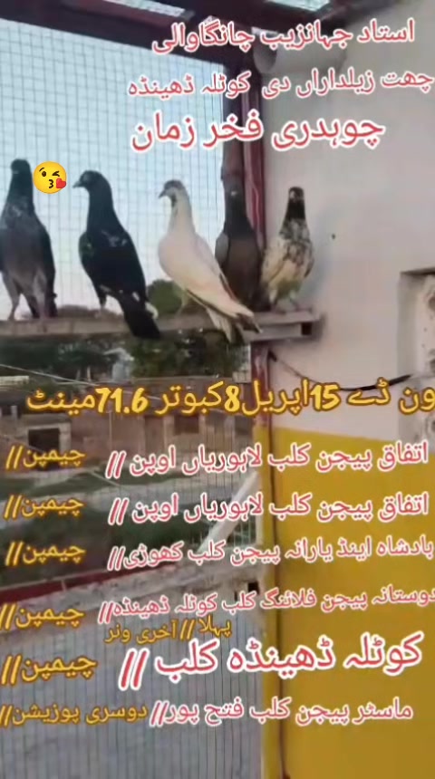 @Chuodhry00786🥀
