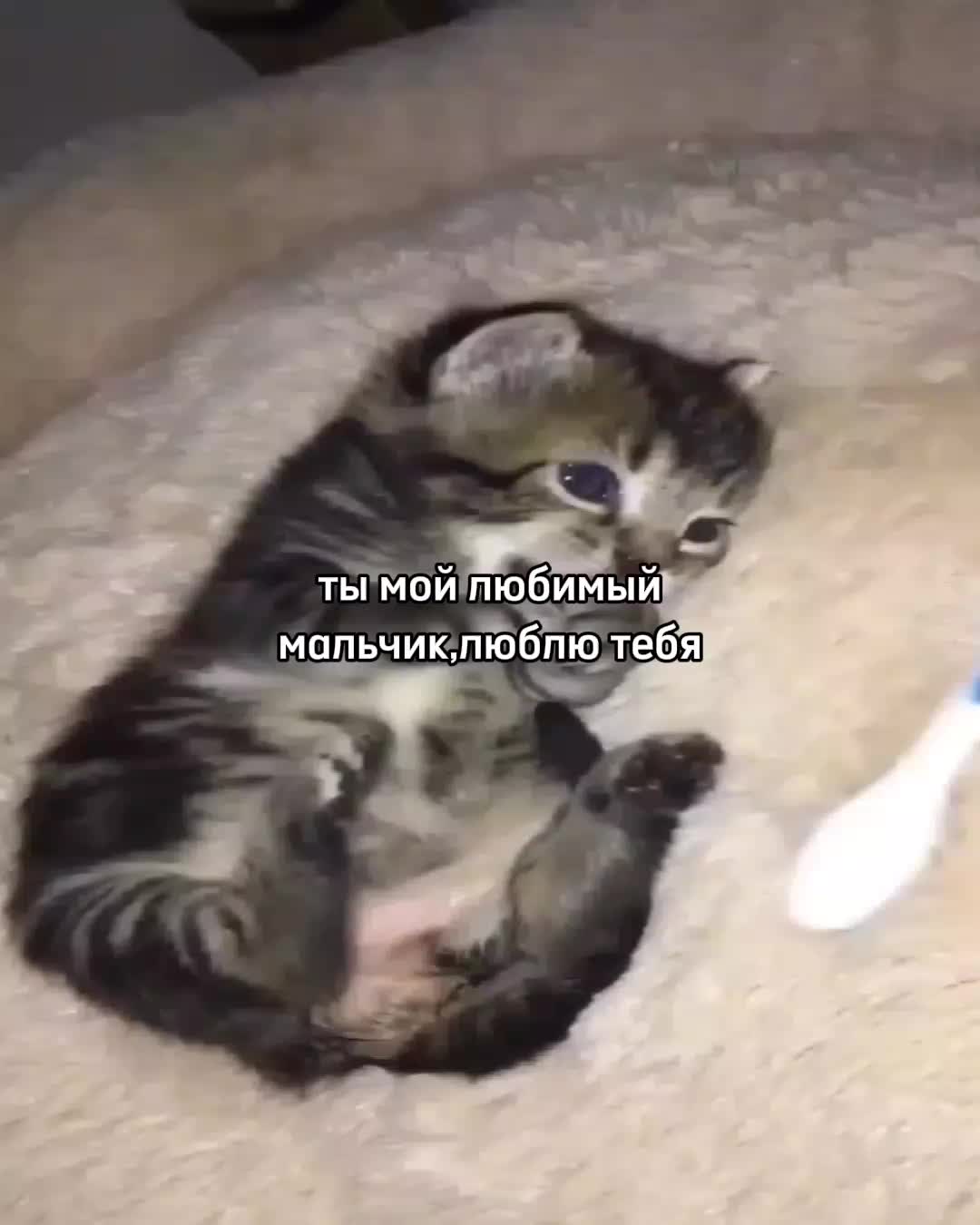 @ꜰᴇɴʏᴀ@