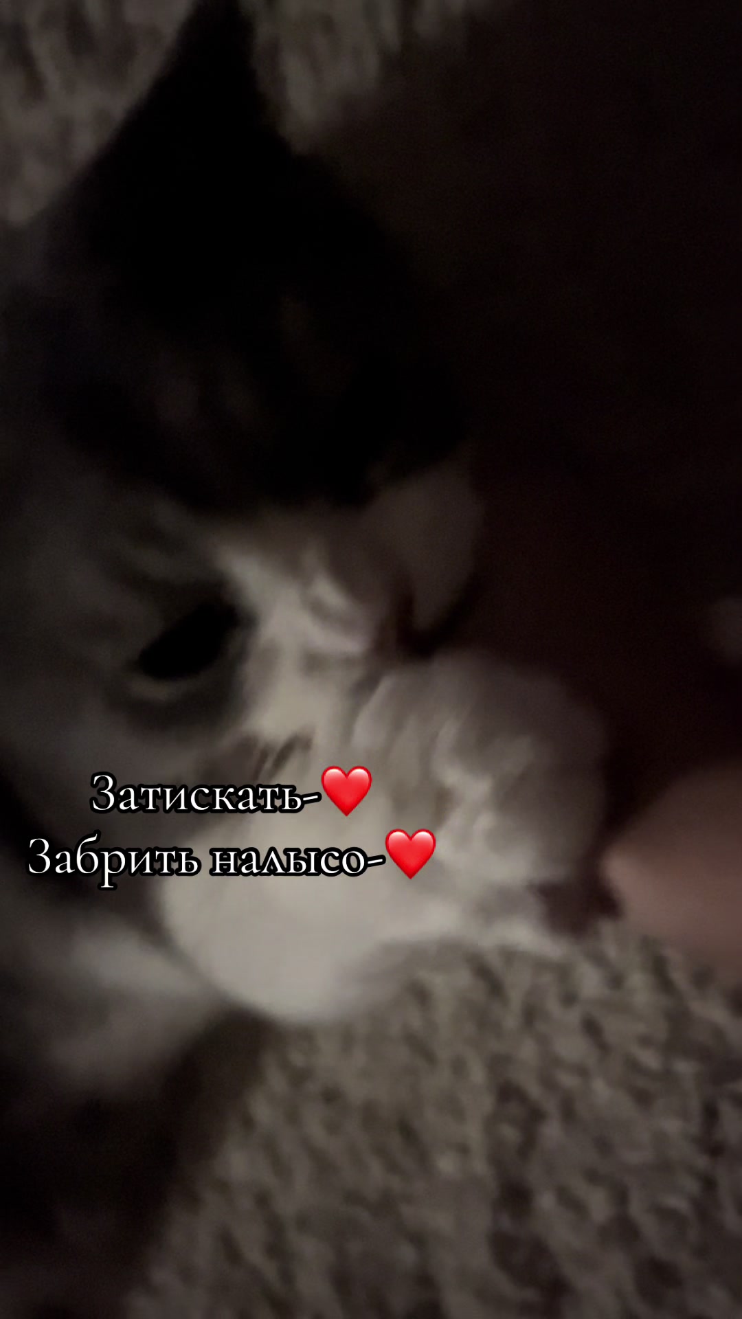@S0f1k0␥
