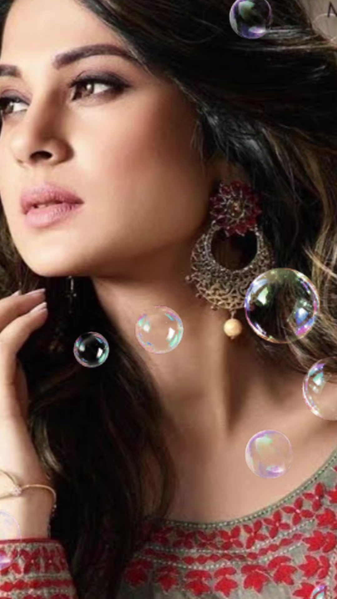 @laikaashraf