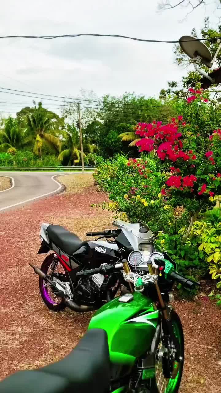 @Dari Sepinggan