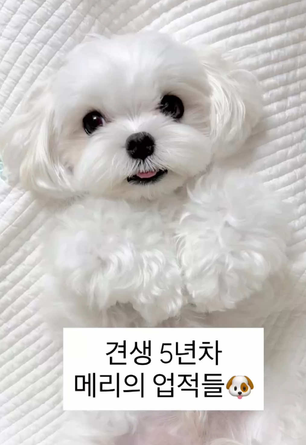 @메리하리