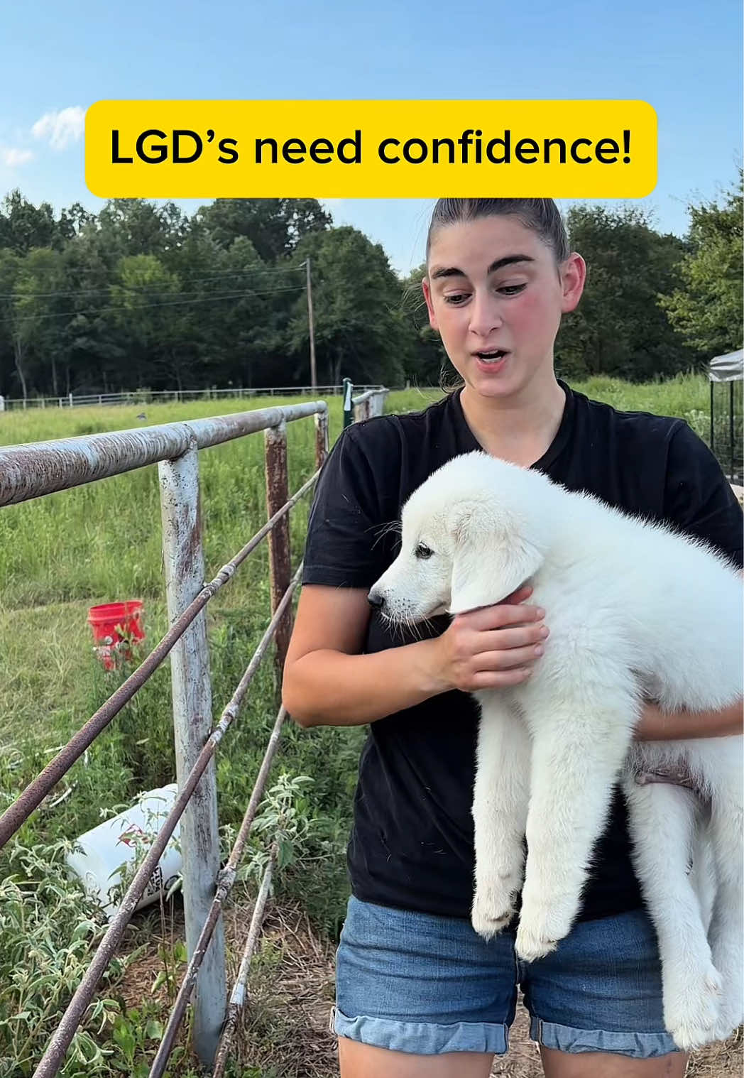 @Heart & Hoof Homestead