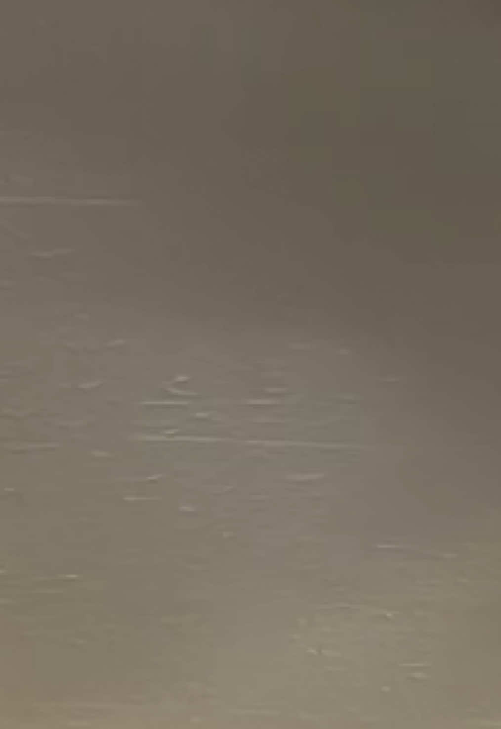 @𝐊 𝐈 𝐀 𝐑 𝐀 🦢
