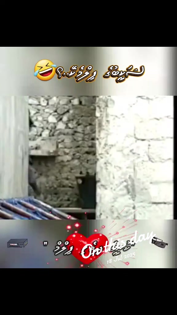 @Huvadhoo Real Asippe 🇲🇻🇵🇸