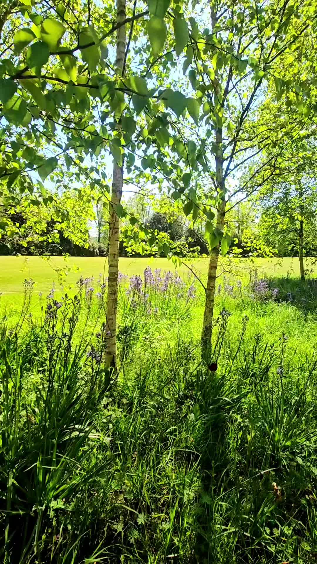 @Diary of a nature lover
