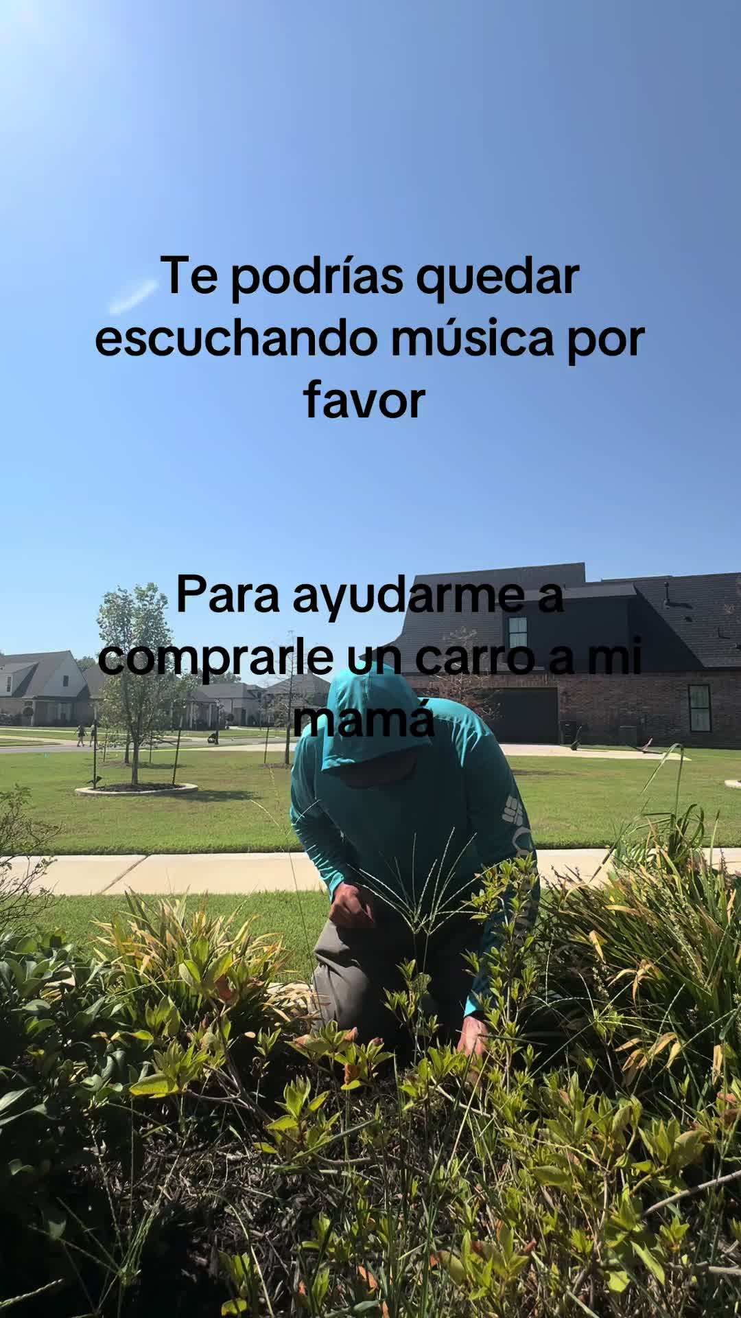 @Thegummy1