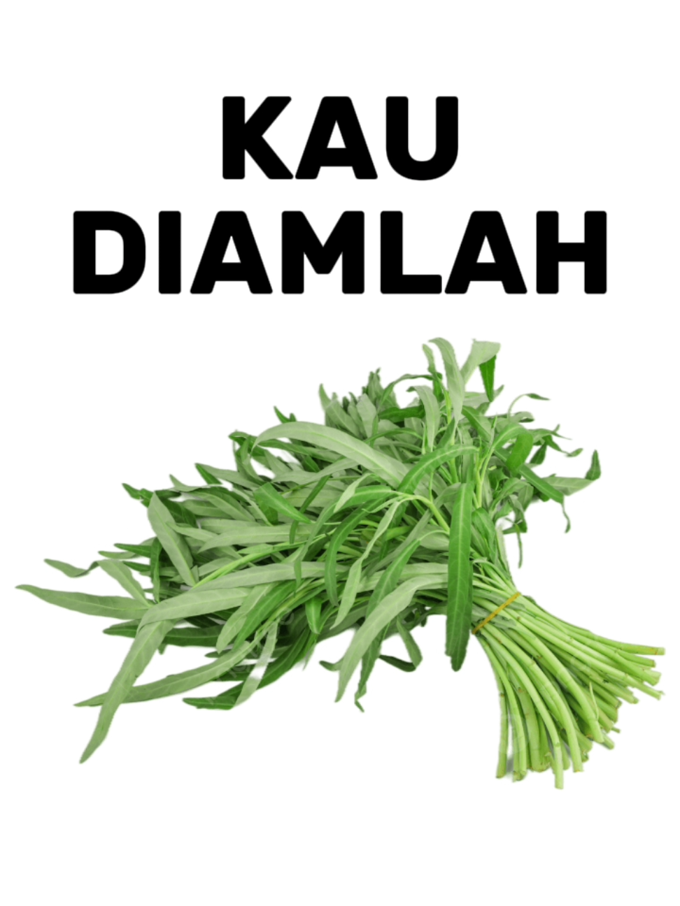@siapadib