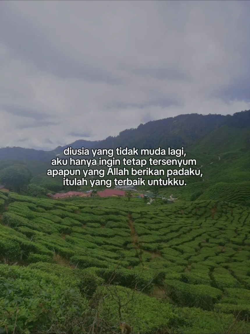 @Hafiz Ibnu Salim