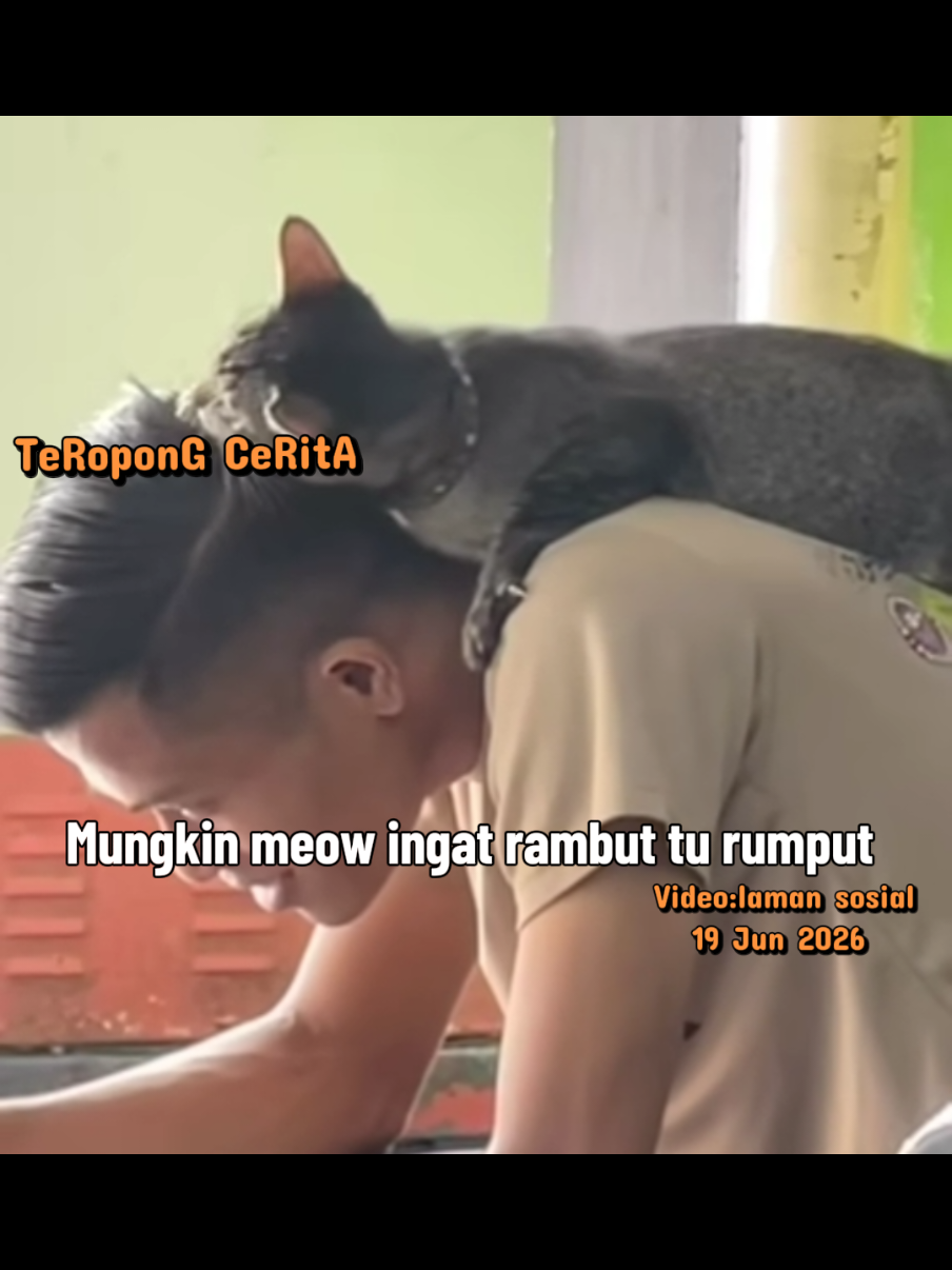 @TeRoponG CeRitA