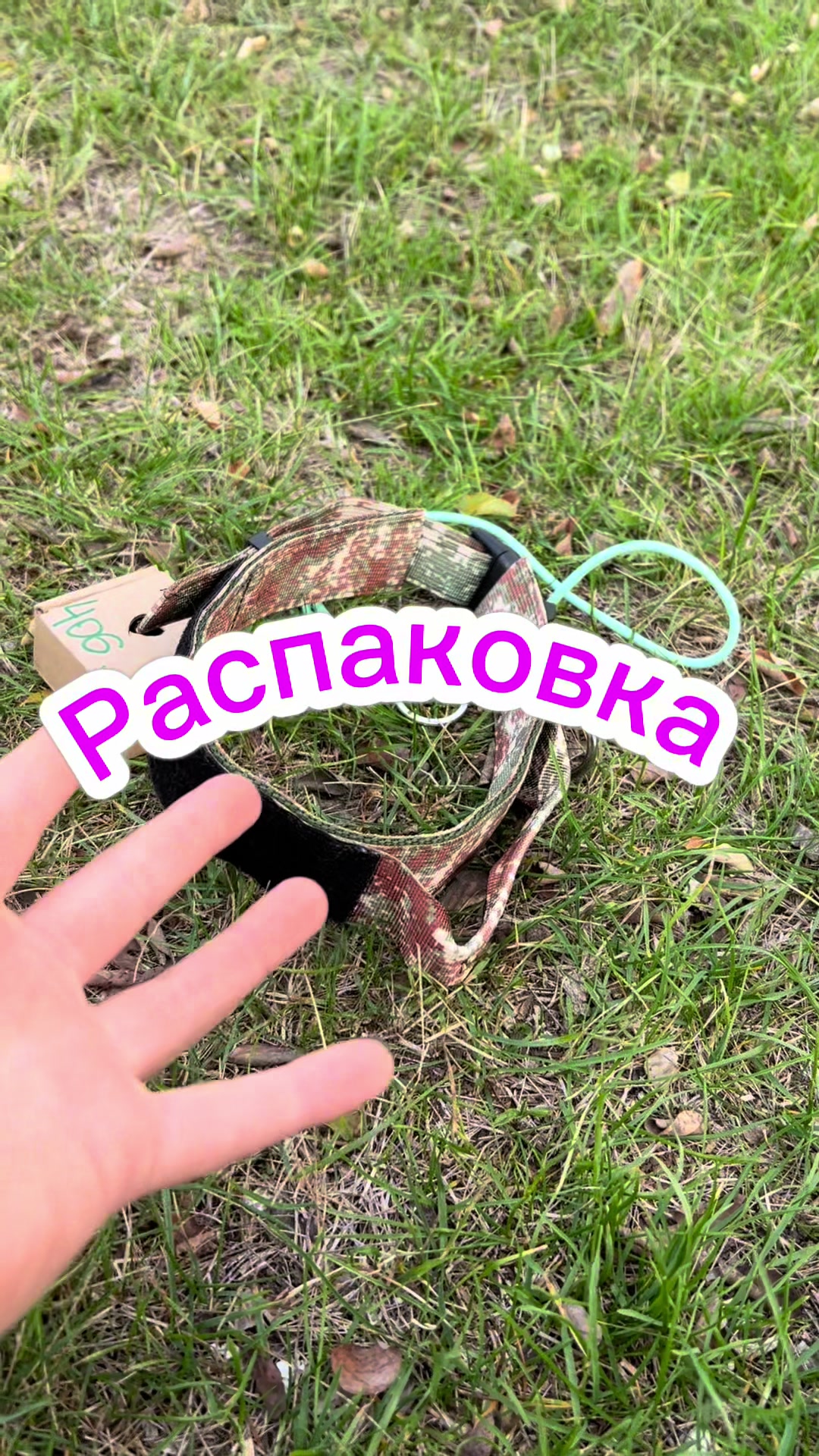 @𐔤ɯᥲᥴⲧыύ ⲙᥲρ᥈υ🥏