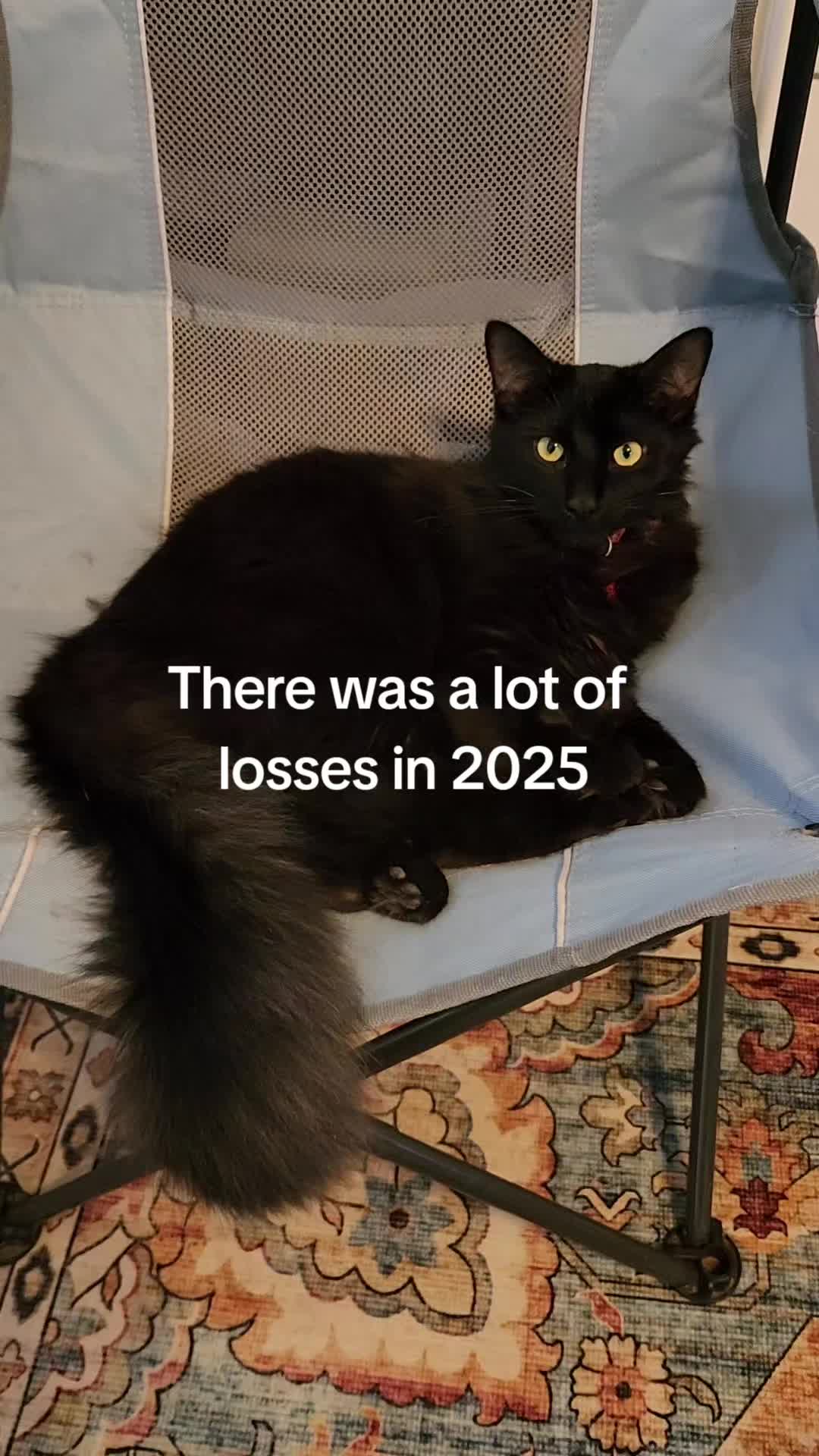@crazycatcrew