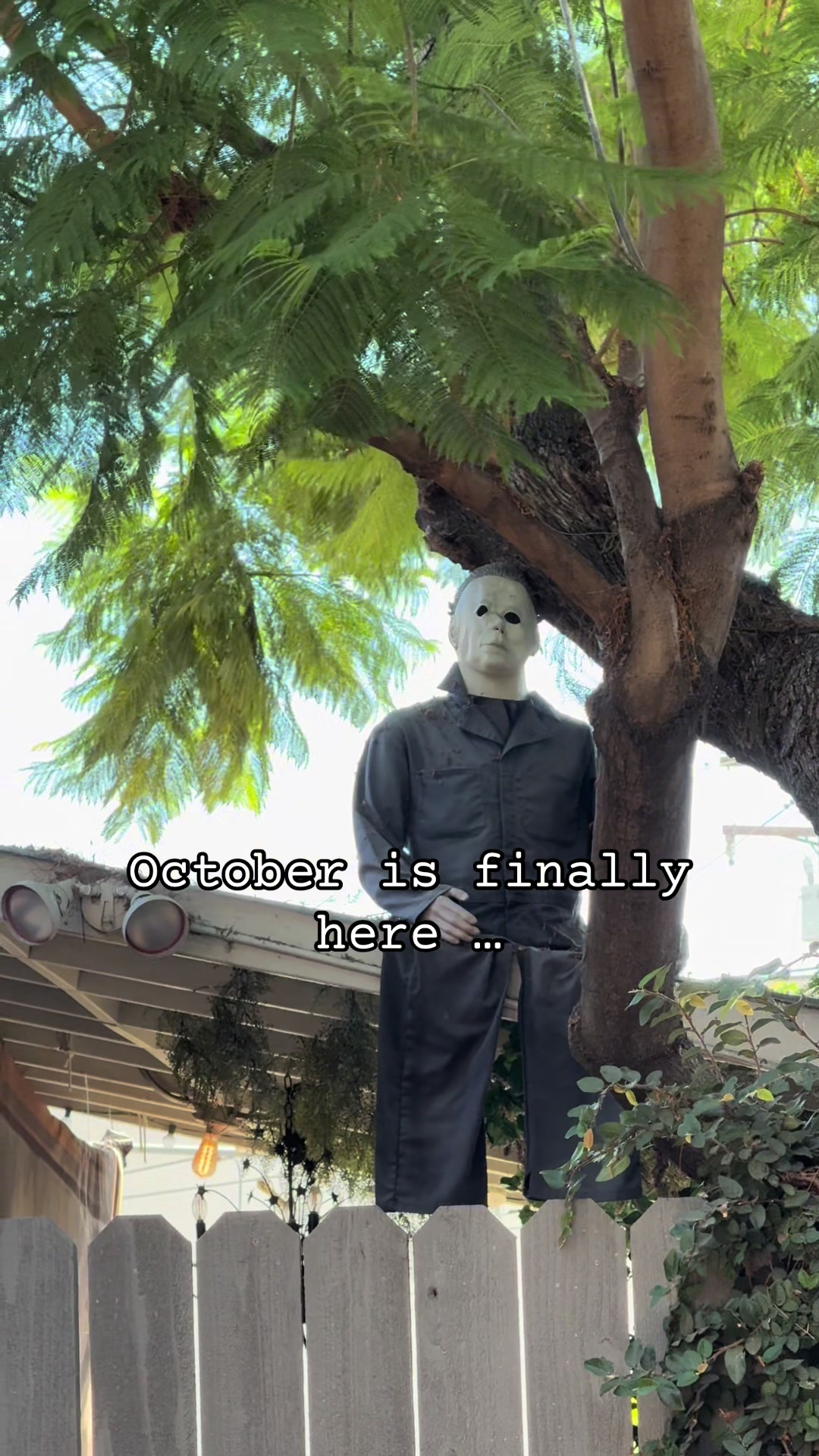 @Morbid Anthology