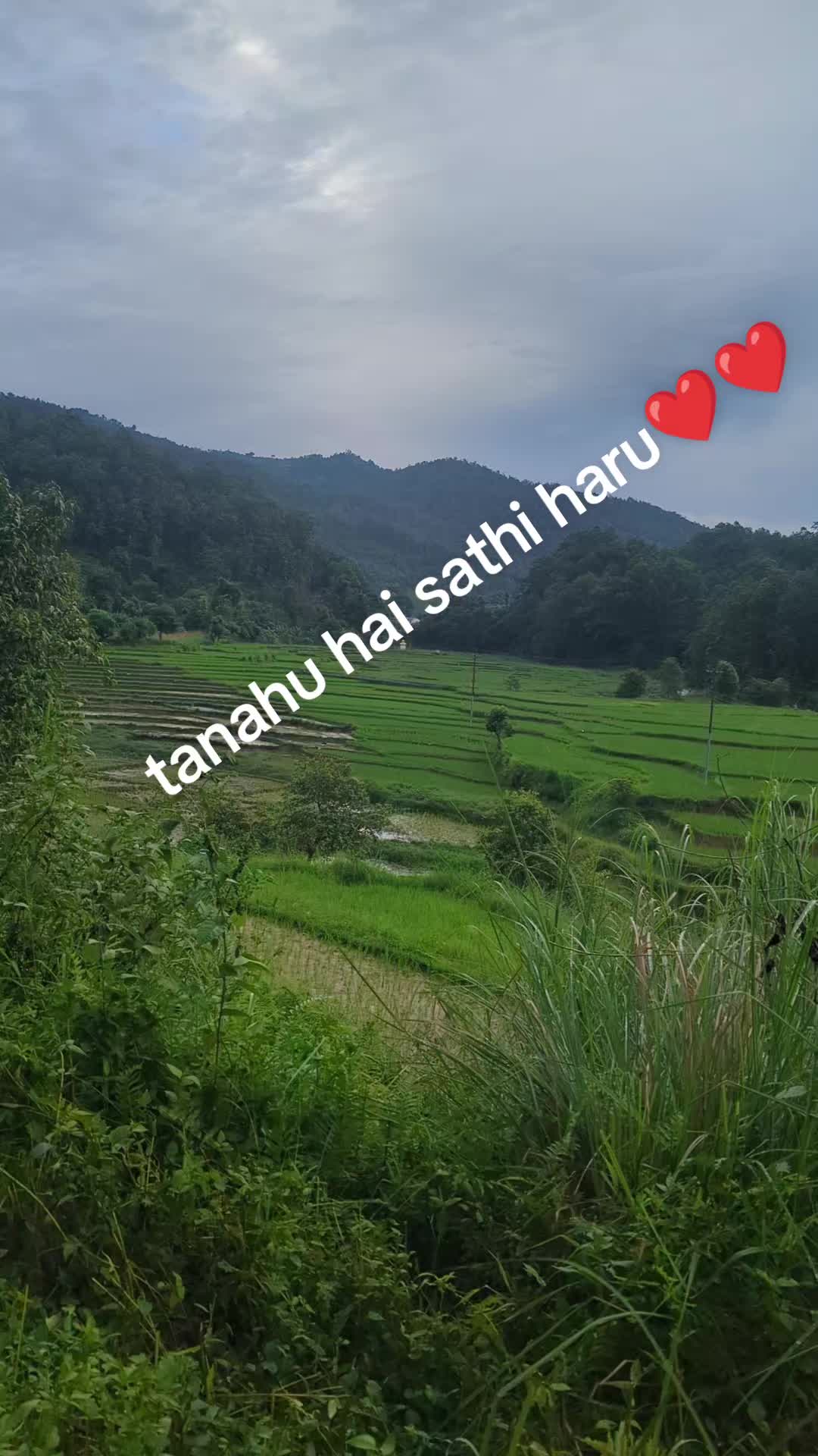 @Muskan Ghimire