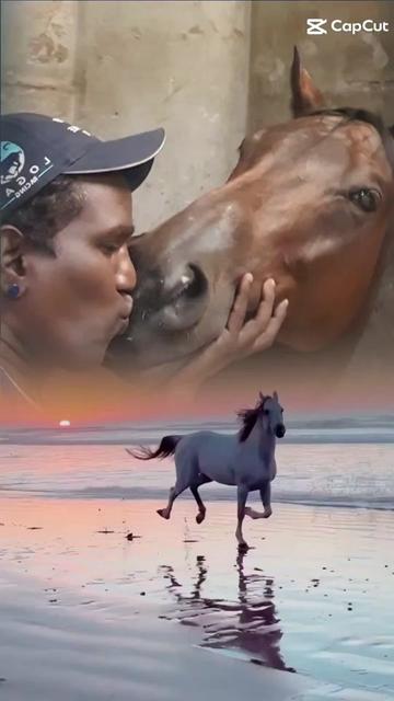 @kevin 🏆🏇🏇🏇🏆 🇸🇬🇲🇾🇳🇿