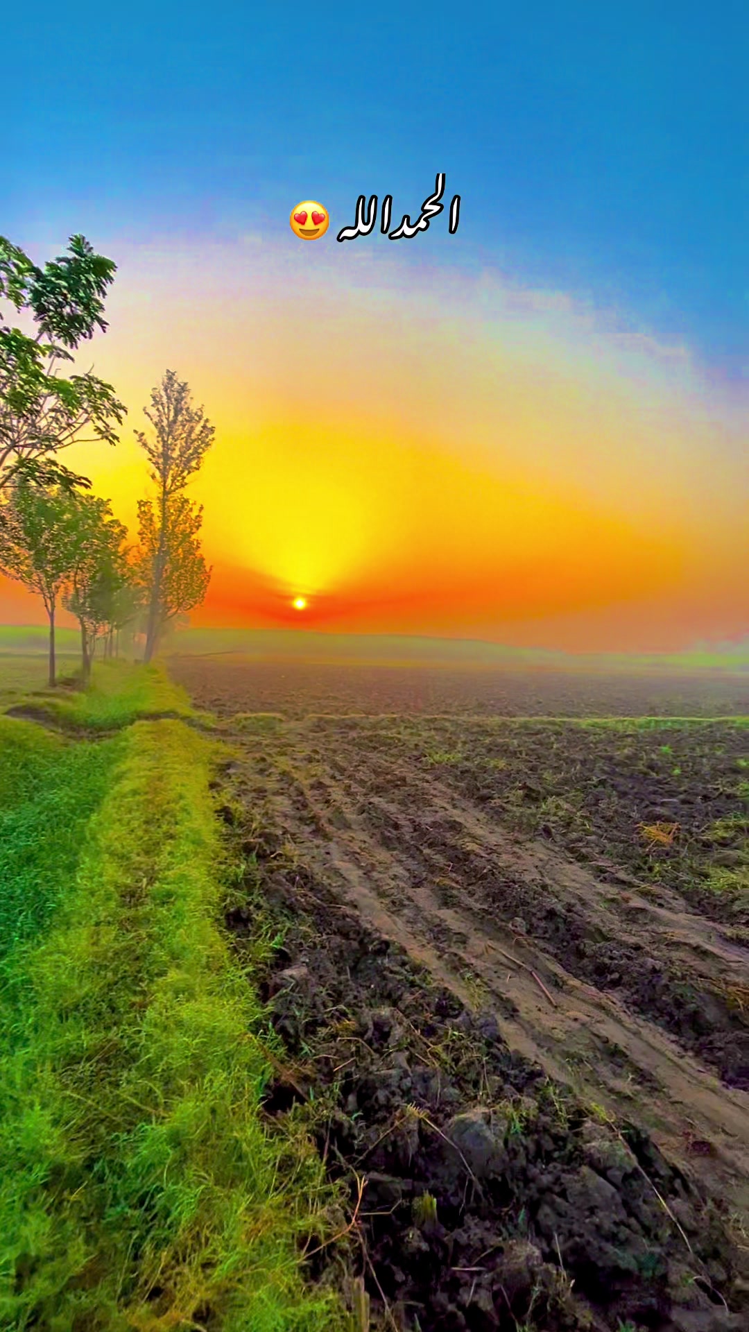 @🌾میں۔ میرا۔ پنڈ🎋