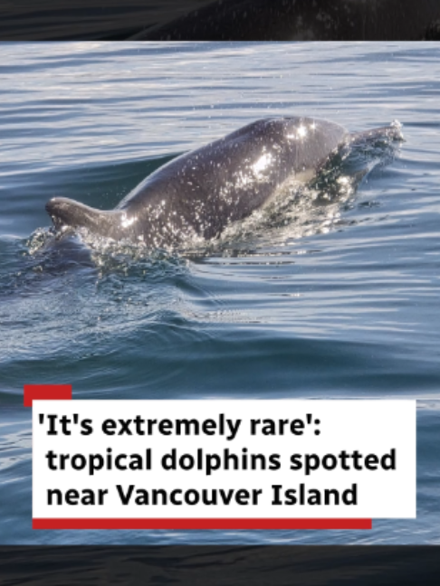 @CBC British Columbia