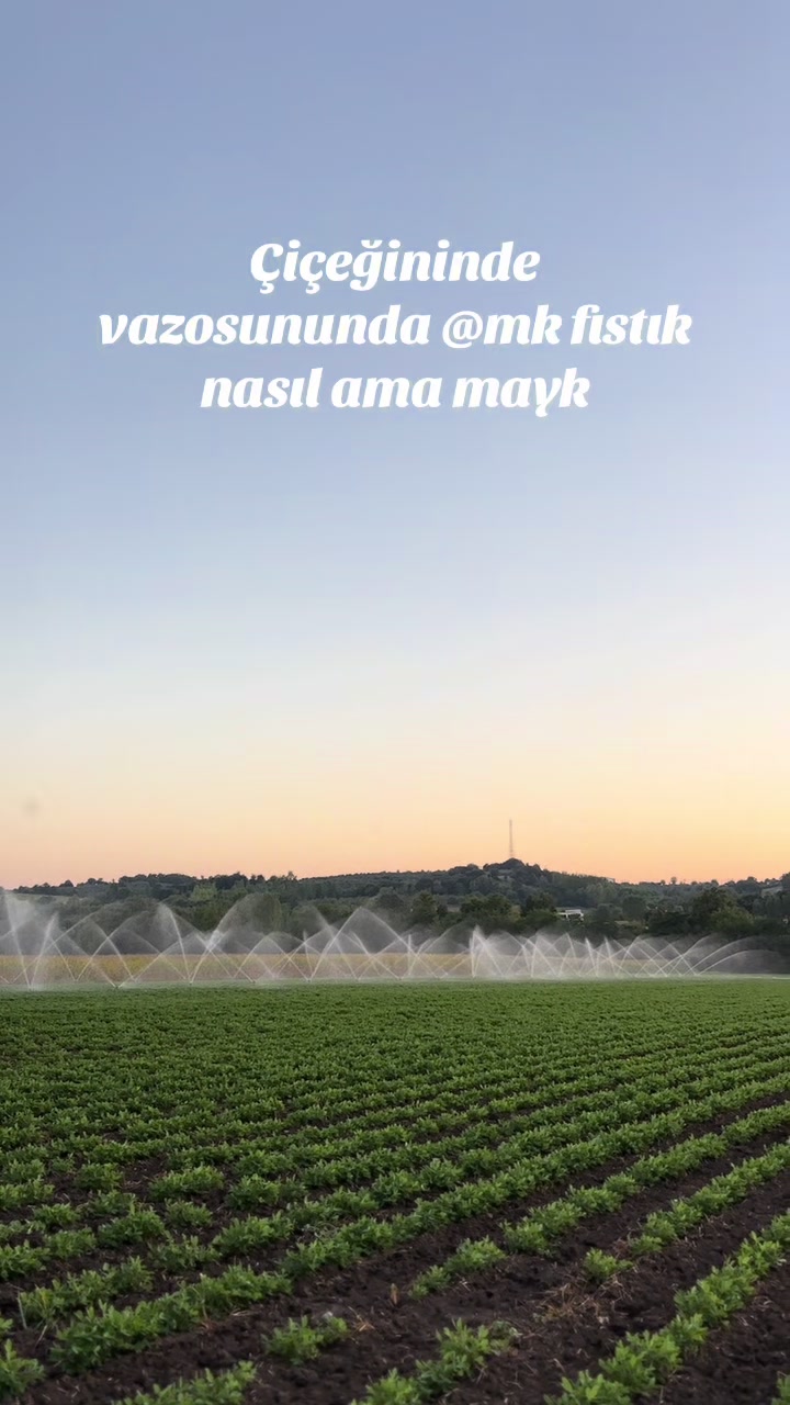 @Ali Osman ÇAL