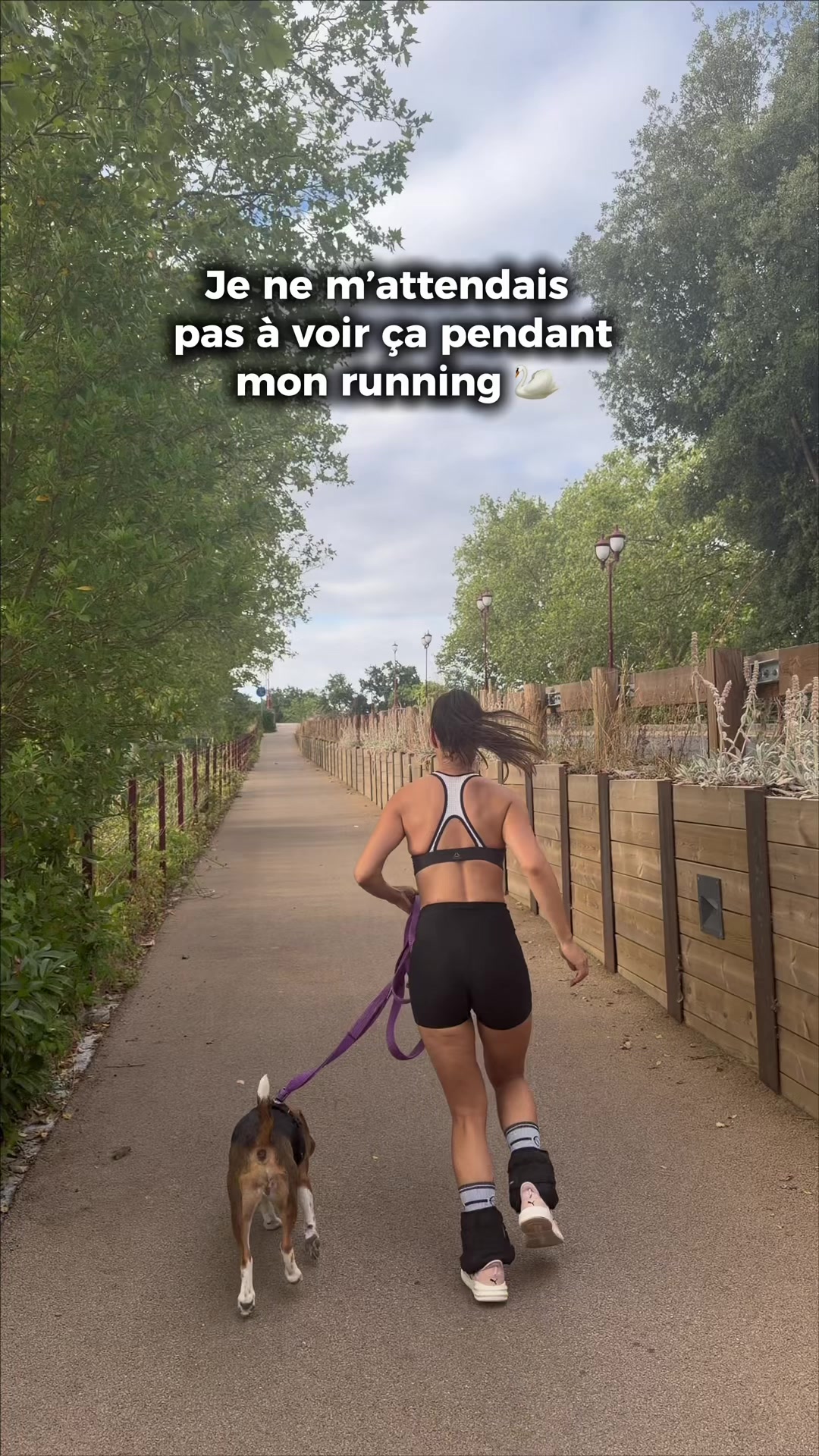 @dy_smm_fr