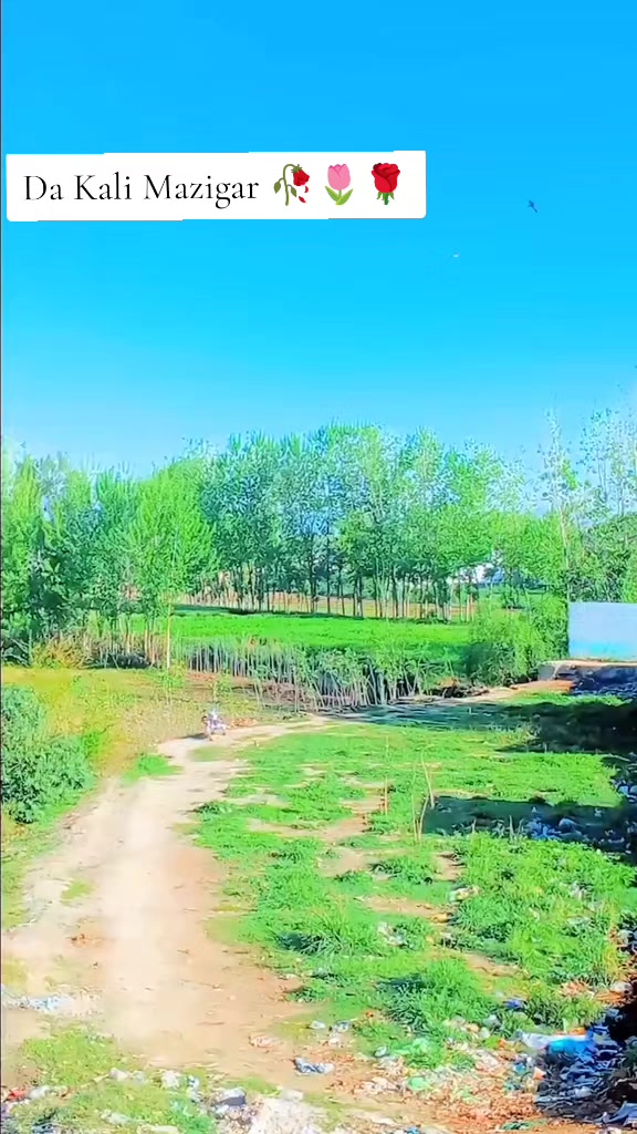 @𝙃𝙖𝙣𝙙S𝙤𝙢𝙚 🇸𝙤𝙡𝙙𝙞𝙚𝙧