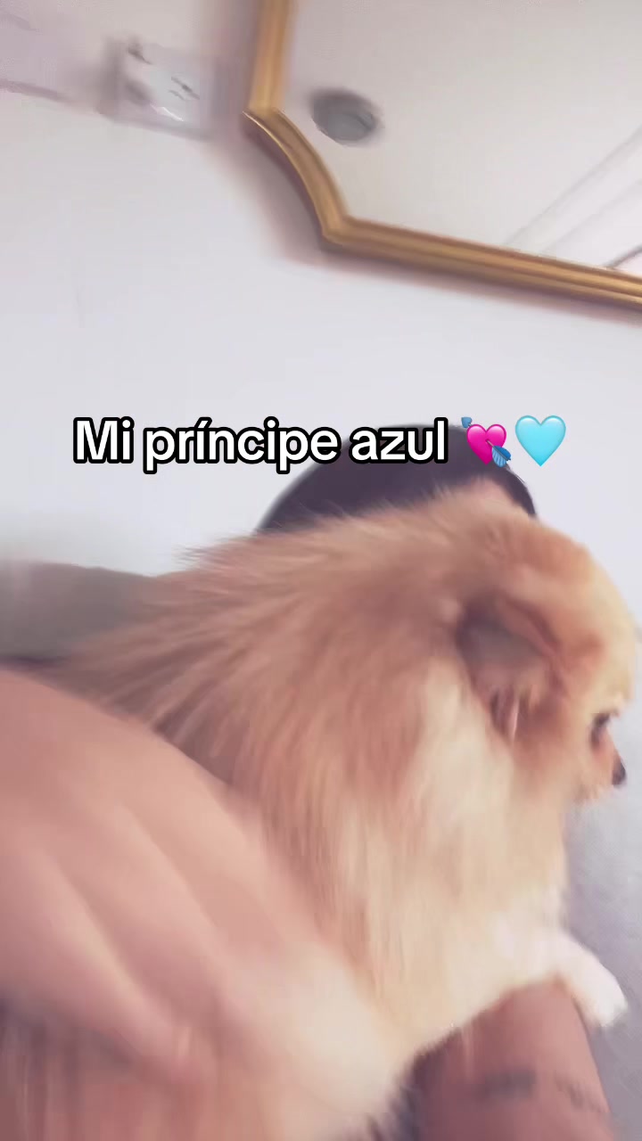 @karenmarrugovs