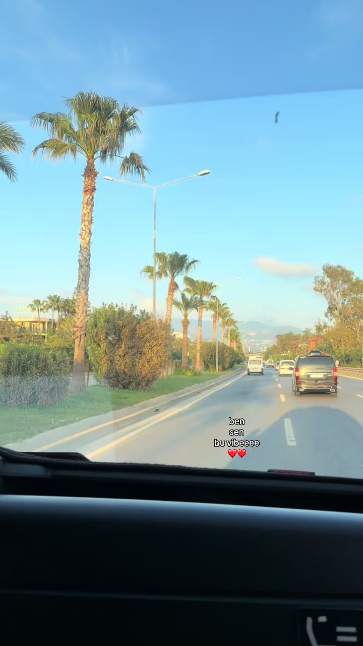 @arri🍍| 🇹🇷 guide
