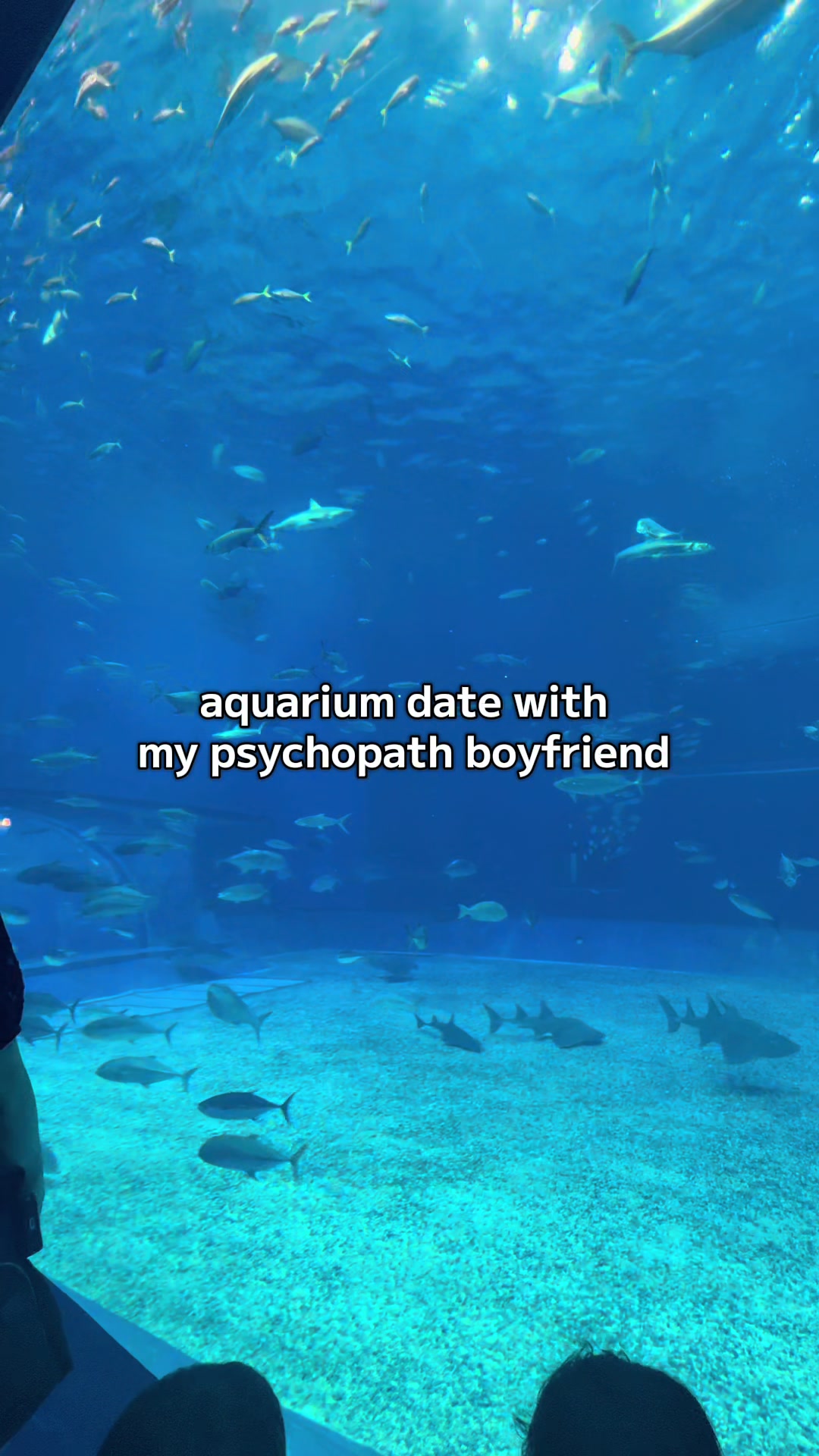 @𝑴𝒊𝒎𝒊