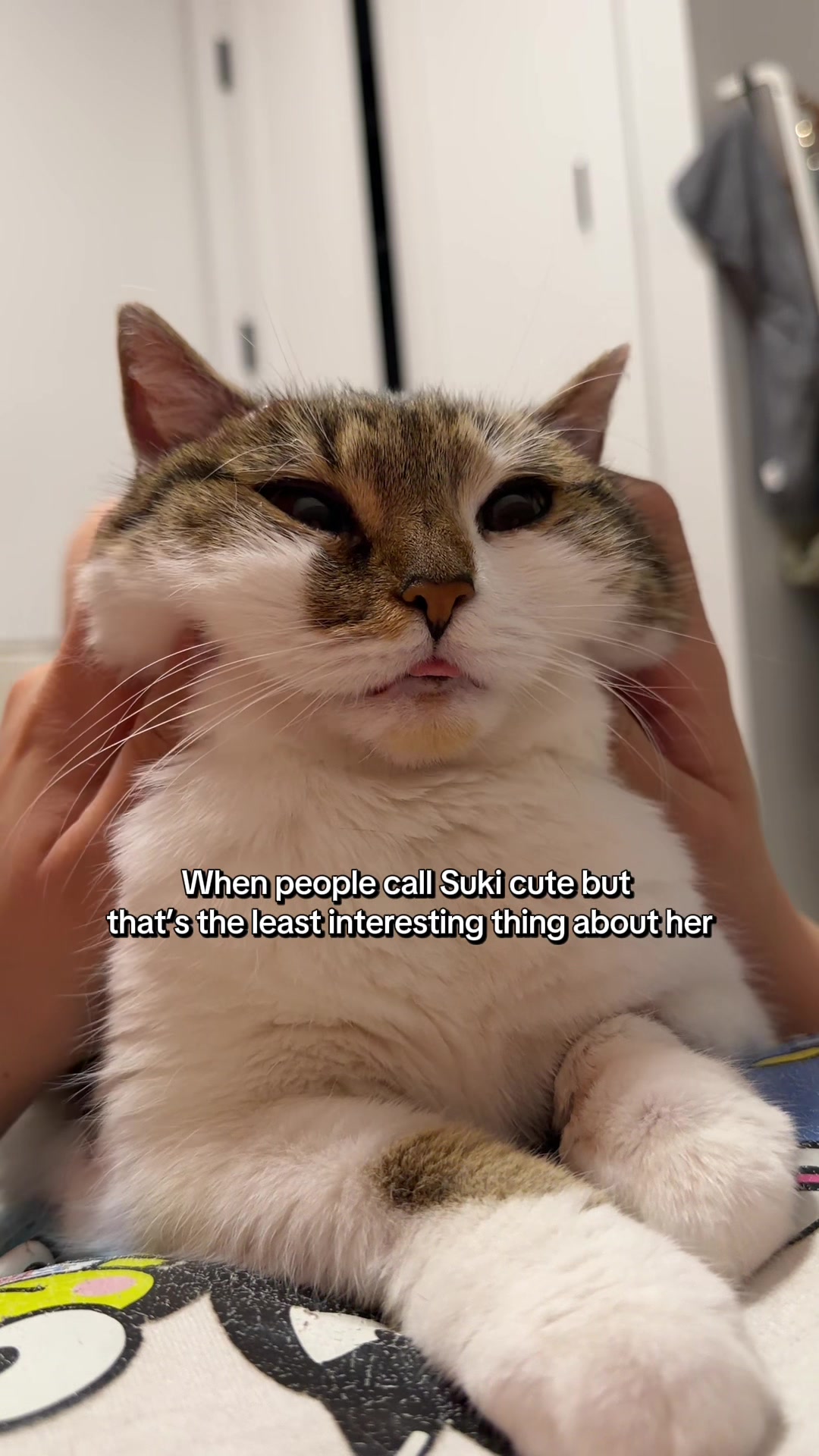 @Suki Purrs