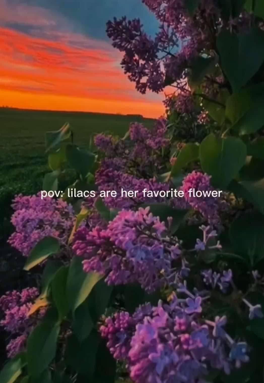 @Linds 🖤🥀🦇