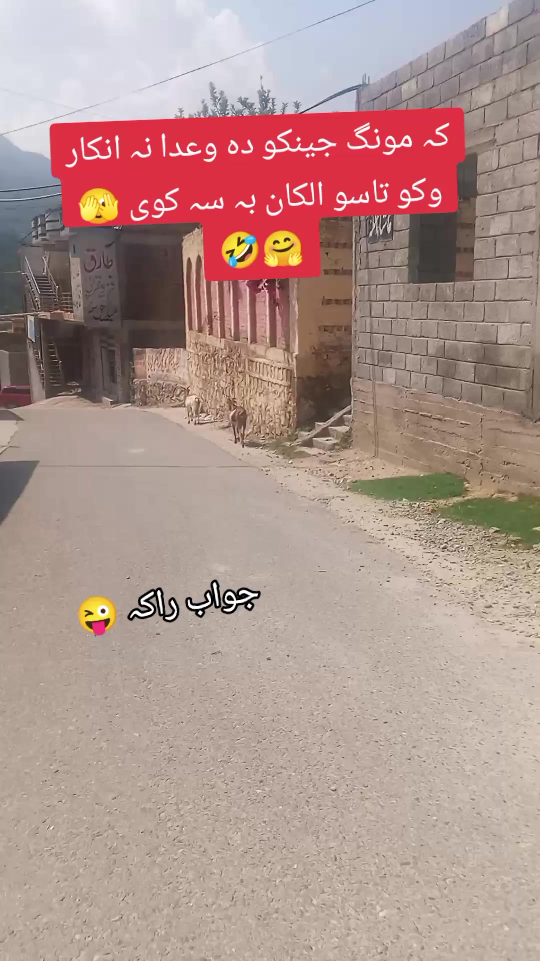 @🥀♥️Marwa Lewanay💫☀️