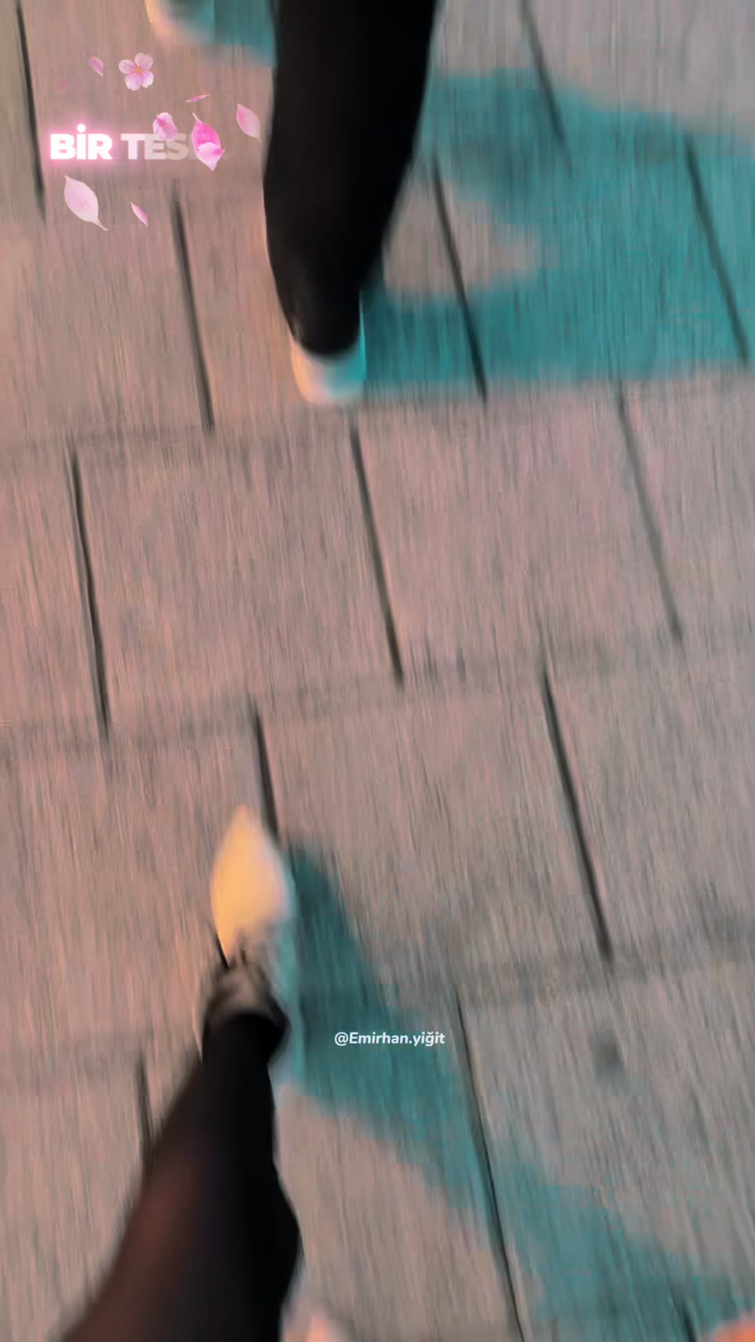 @Aslı Tarık