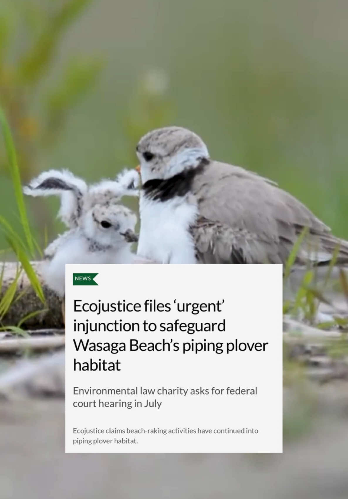 @Ecojustice