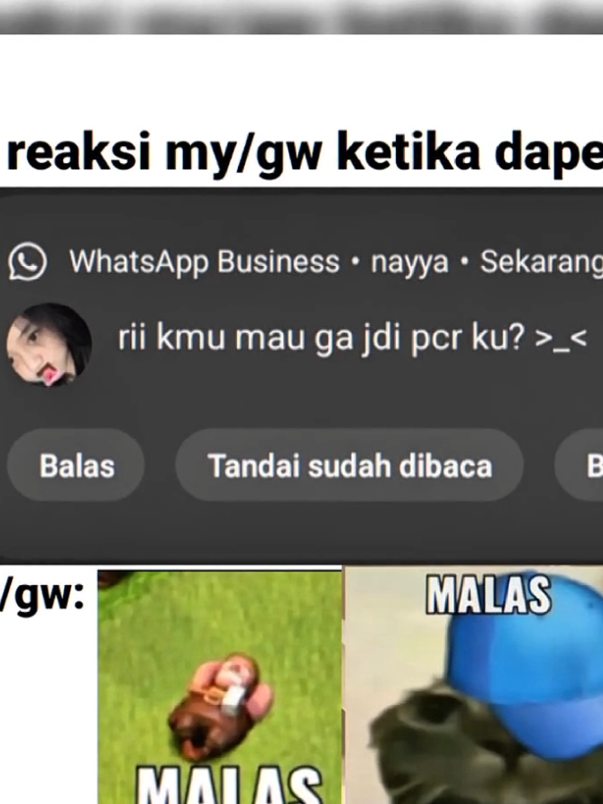 @Fahri Sturr