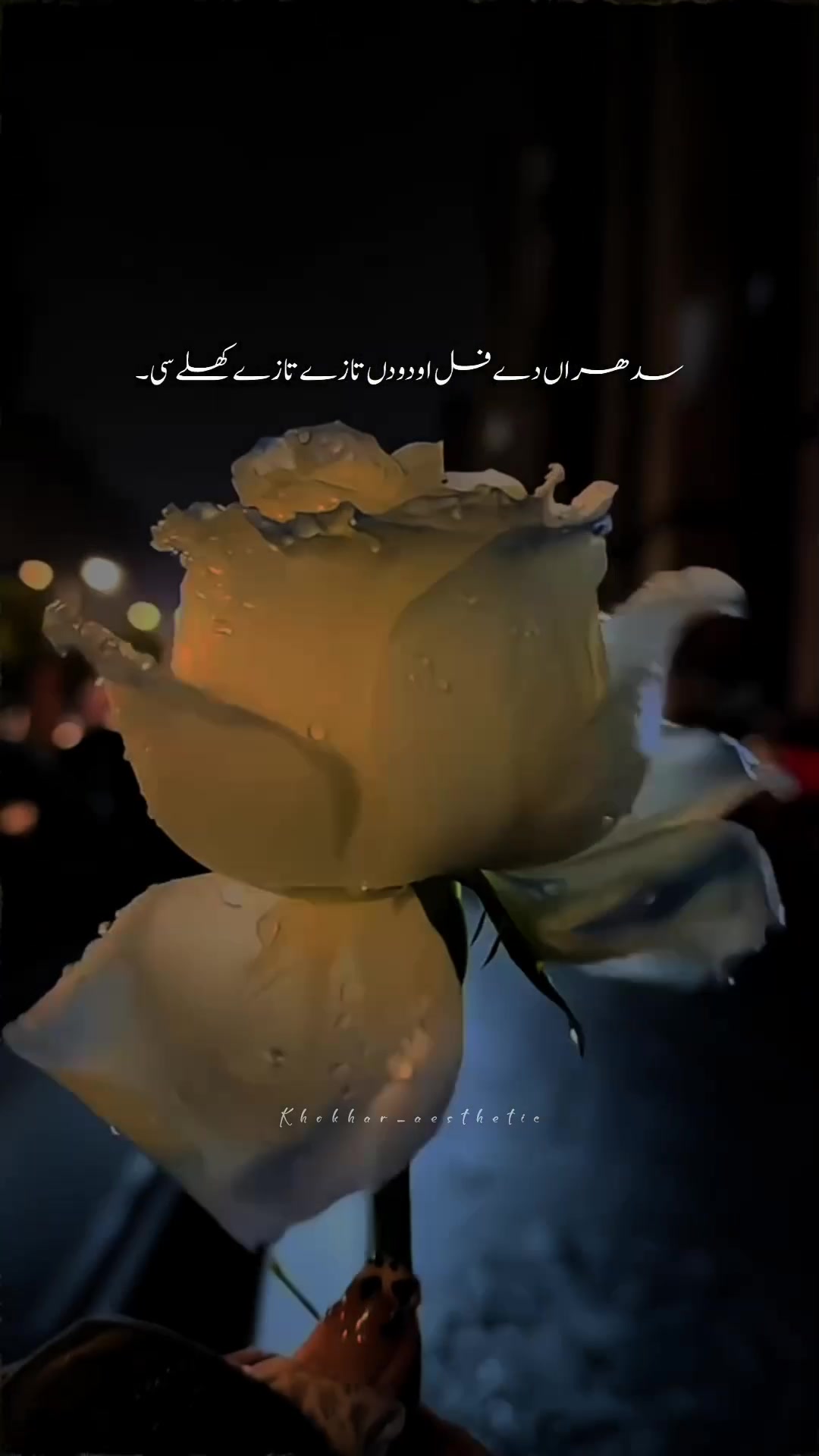 @✦𝑫𝒆𝒂𝒅 ♡ 𝑺𝒐𝒖𝒍𓂃═════💔