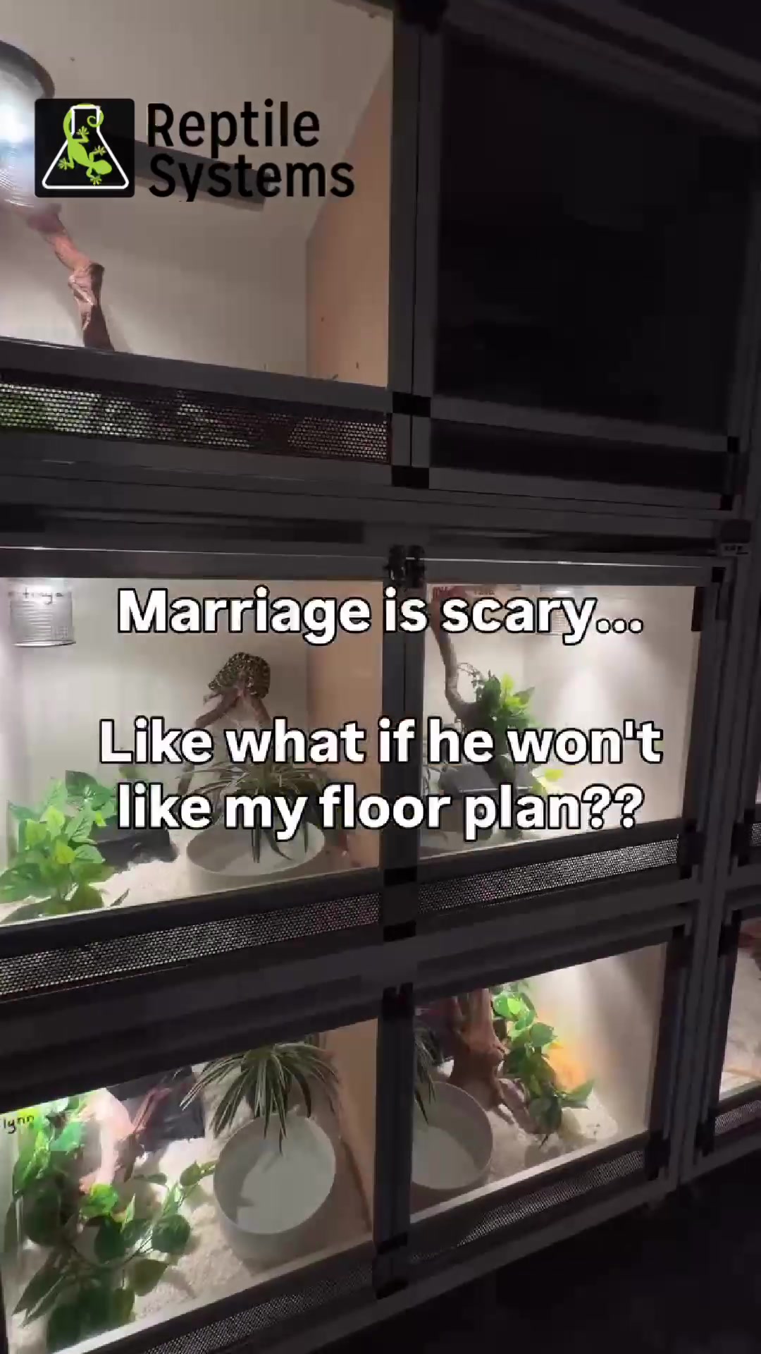 @DrTim