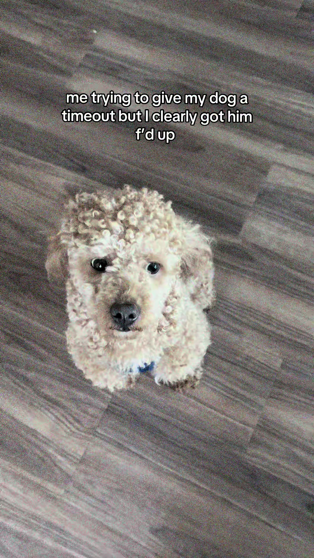@Bri