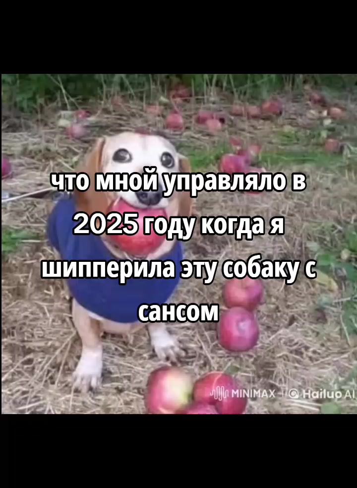 @Мия мичайник