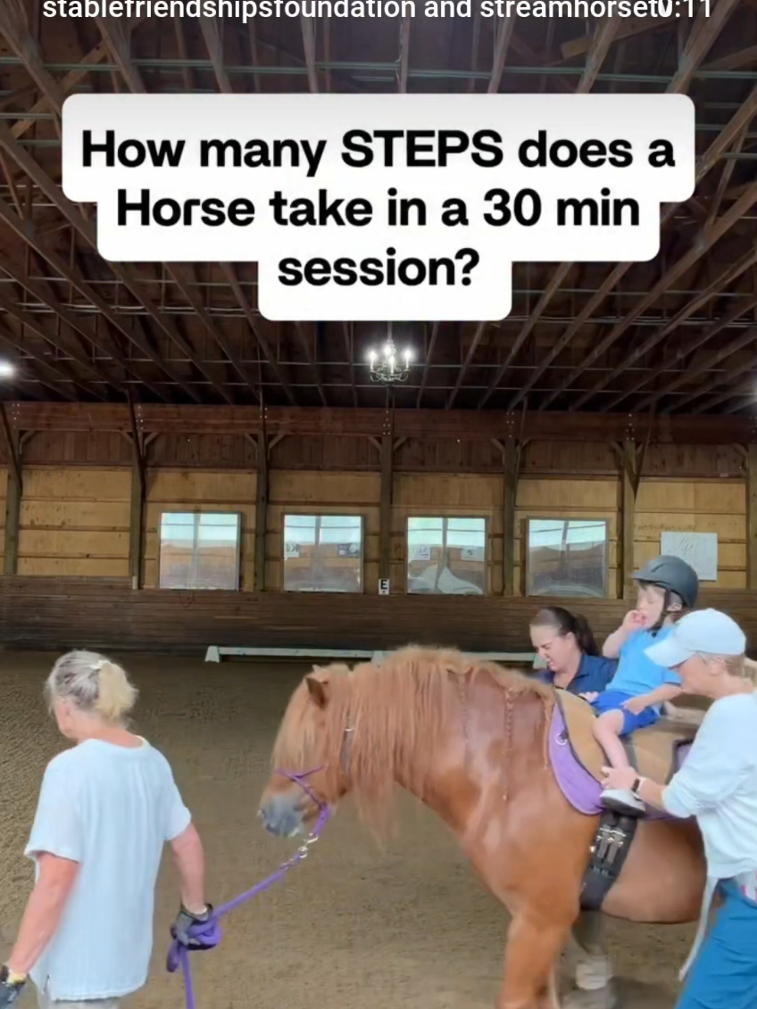 @streamhorse