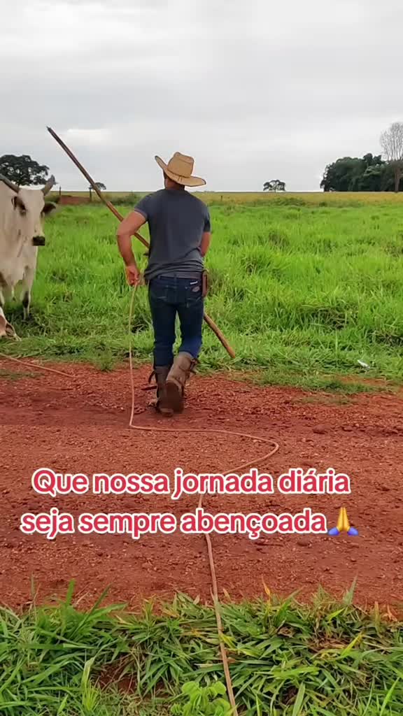 @Geovane neto
